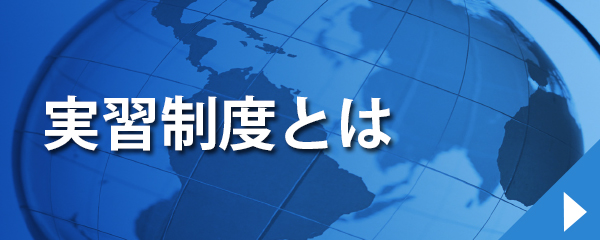 実習制度とは